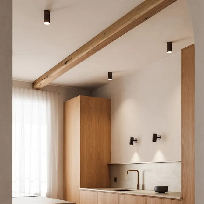 Patrone Ceiling Surface Spot Downlight