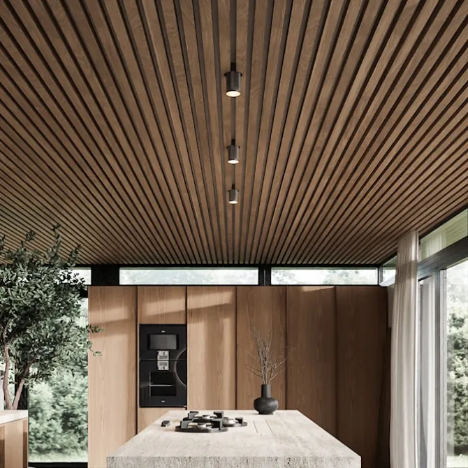 Patrone Ceiling Surface Spot Downlight
