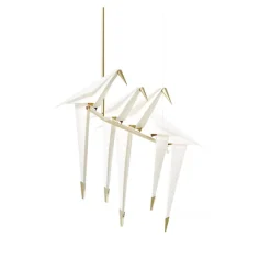 Perch Light Branch