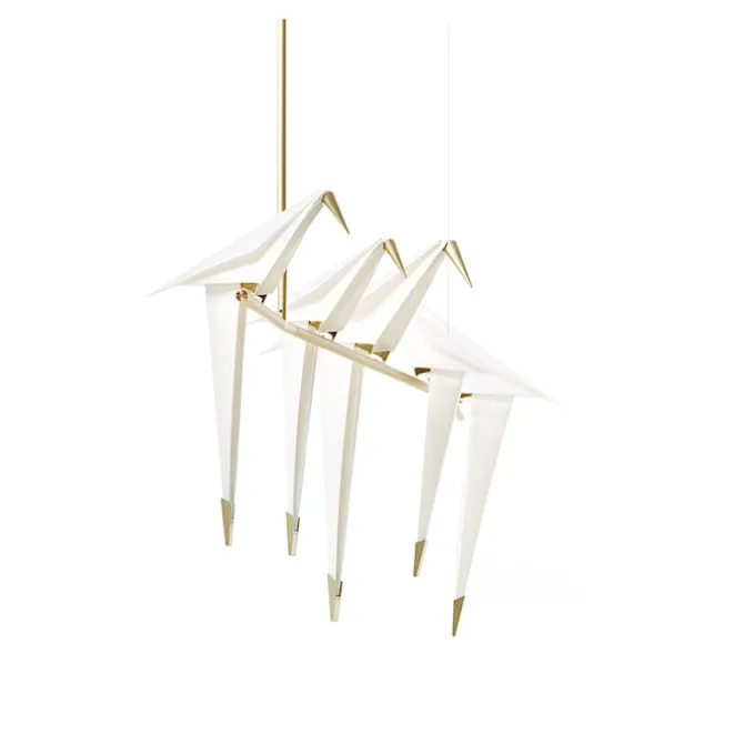 Perch Light Branch