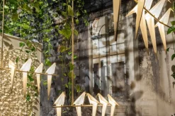 Perch Light Branch