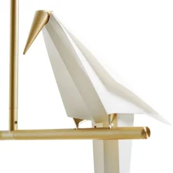 Perch Light Branch