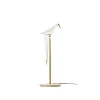 Perch Light Table