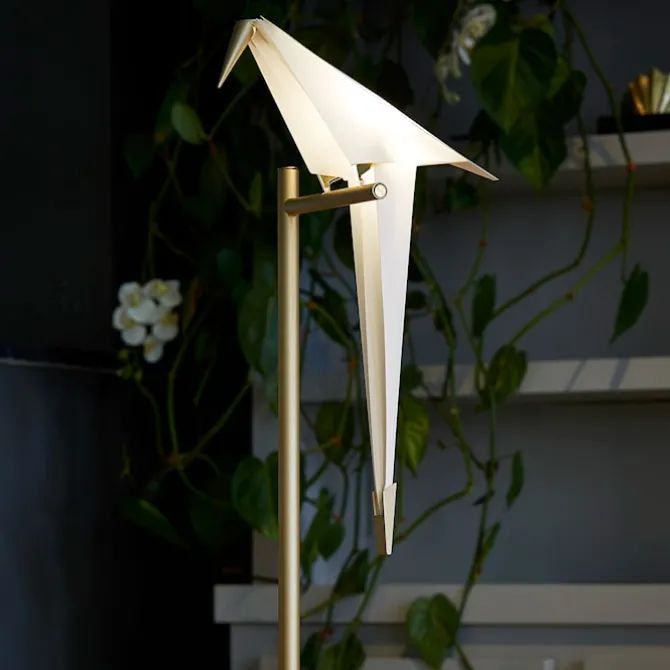 Perch Light Table