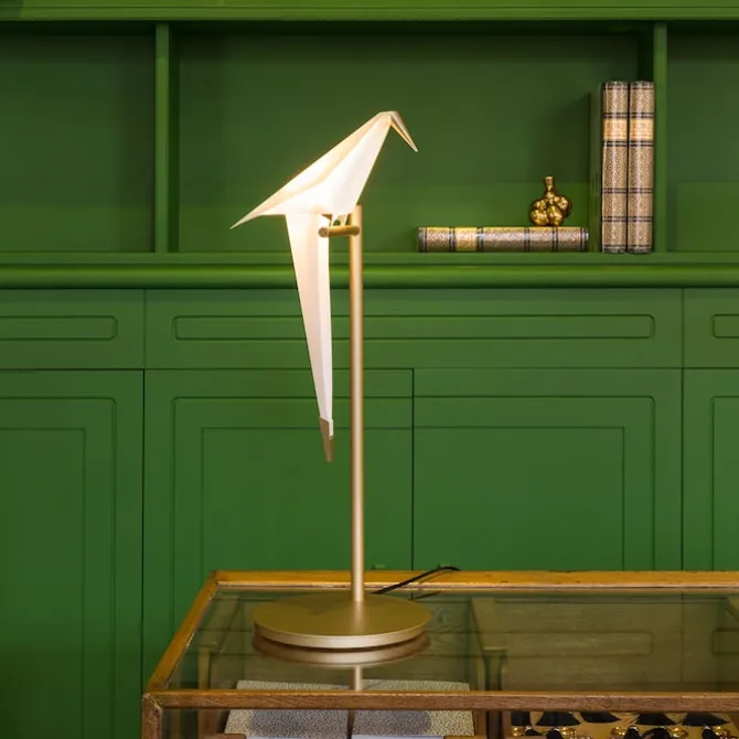 Perch Light Table