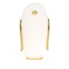 Pet Light