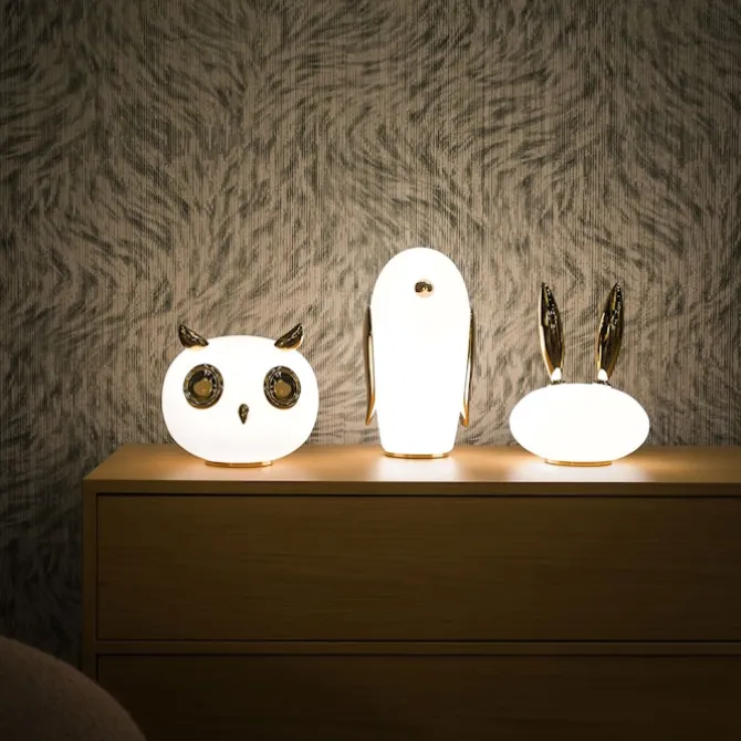 Pet Light