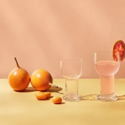 Picnic Large Glass 48 cl 2-Pack