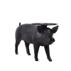 Pig Table