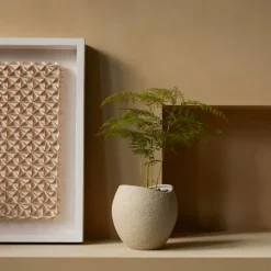 Plantas blomsterpotte