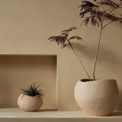 Plantas blomsterpotte