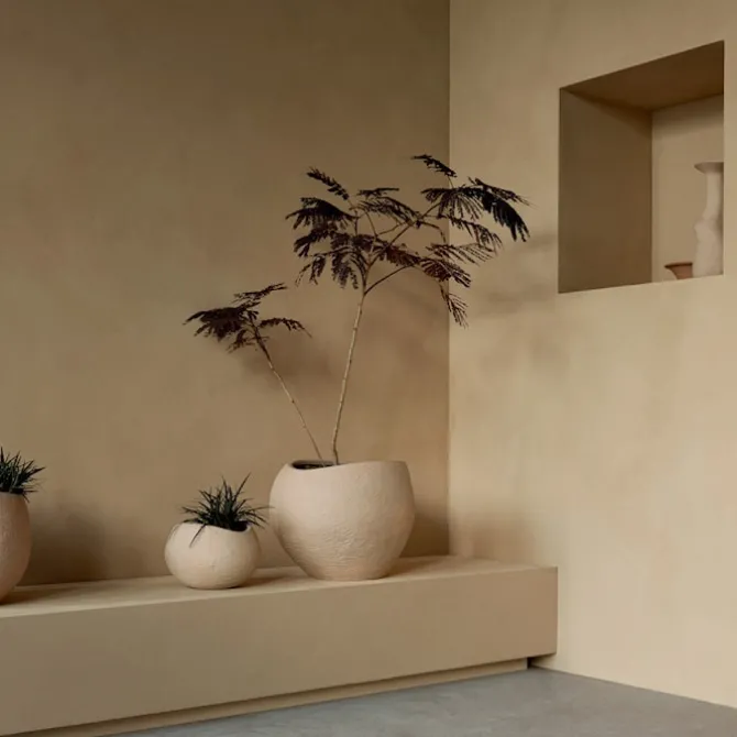 Plantas blomsterpotte