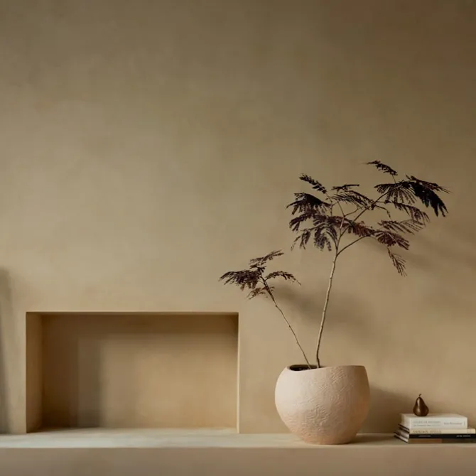 Plantas blomsterpotte