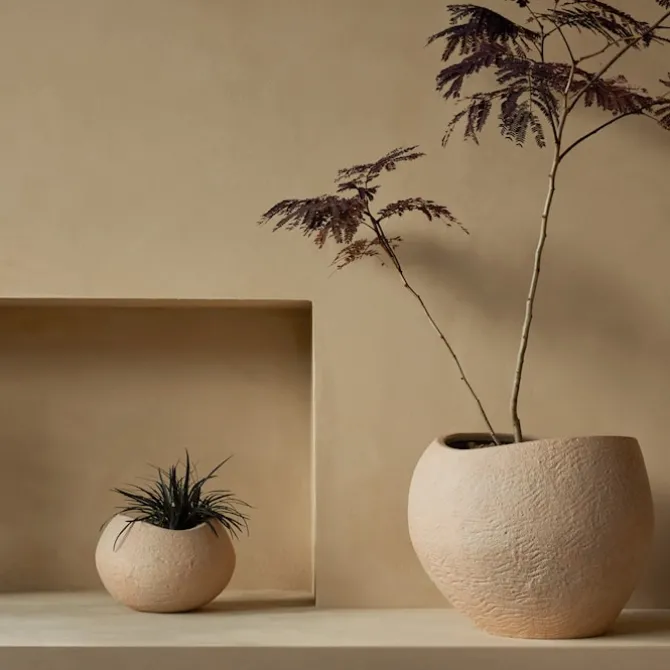Plantas blomsterpotte