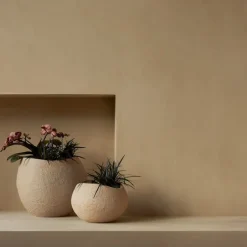 Plantas blomsterpotte