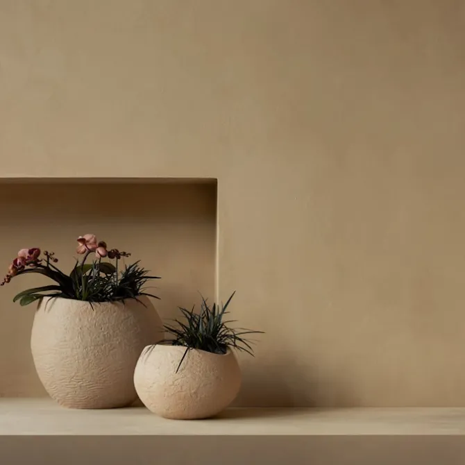 Plantas blomsterpotte