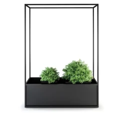 Planter Carl