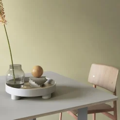 Platform Tray