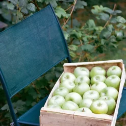 Plein Air Armchair