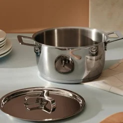 Pots & Pans Casserole with 2 handles