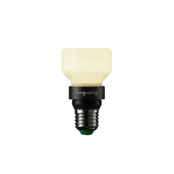Punch Bulb