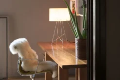 Ray Table