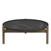 Sepal Coffee Table