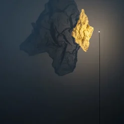 Shadow