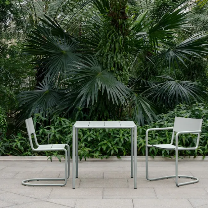 Sine Dining Arm Chair