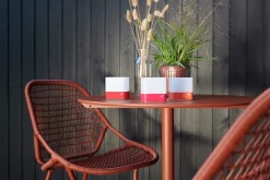 Sixties Chair
