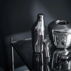 Sky Ice Bucket & Ice Tongs