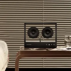 Small Transparent Speaker