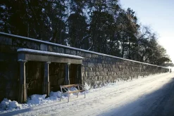 Sneckan Svartlakkert / Svartlakkert Furu