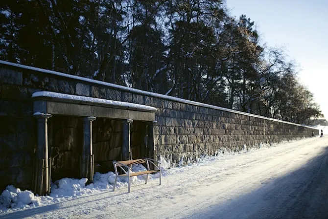 Sneckan Svartlakkert / Svartlakkert Furu
