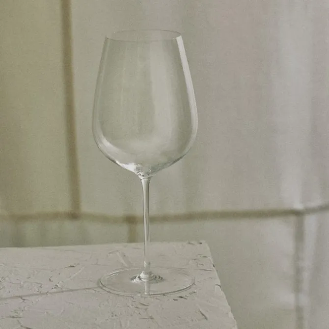 Steel Vinglass 45 cl