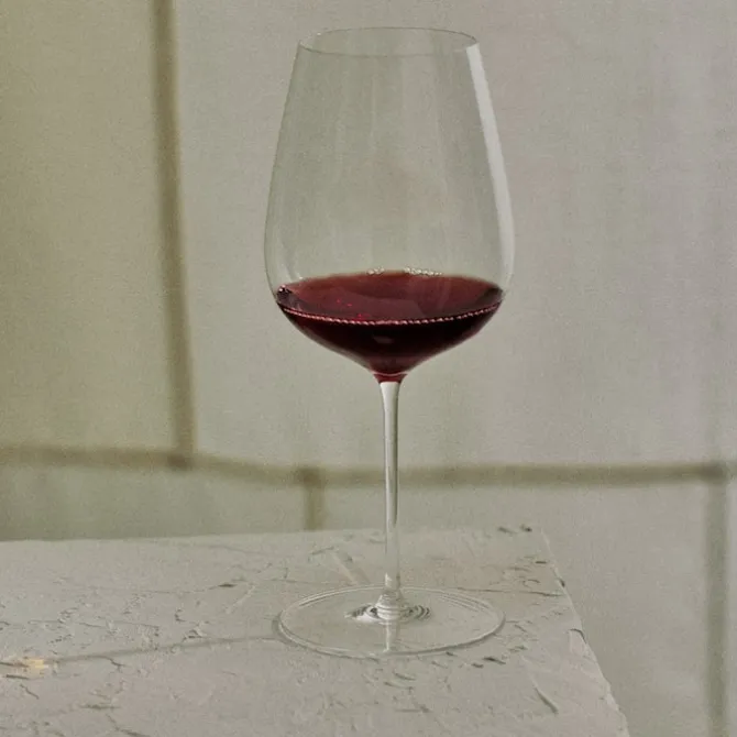 Steel Vinglass 45 cl