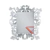 Sturm und Drang Mirror