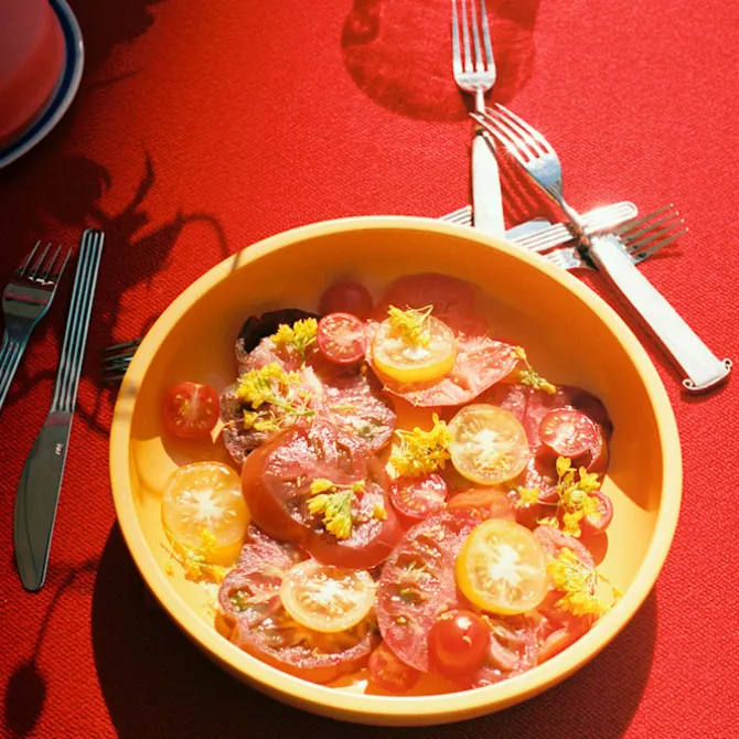 Sunday Cutlery kniv 5-pakk