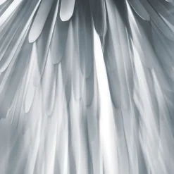 Sun-Light Of Love
