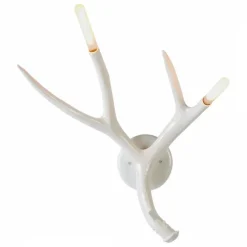 Superordinate Antlers Sconce