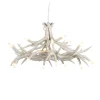 Superordinate Chandelier 12 Antlers