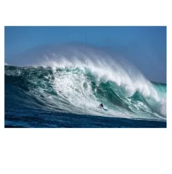 Surf Porn