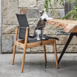 Sway Teak Stacking Chair with Arms