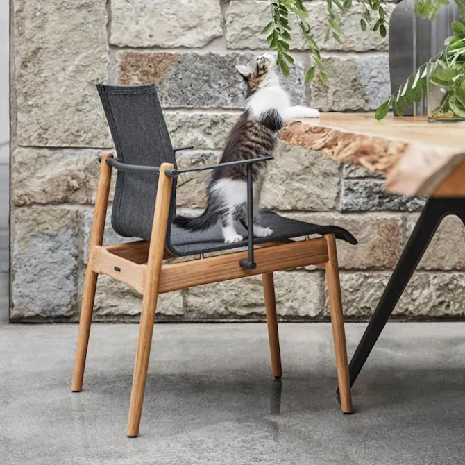 Sway Teak Stacking Chair with Arms