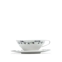 Tea Cup & Saucer Anemone Milk