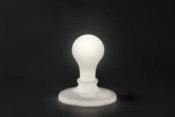 The Light Bulb