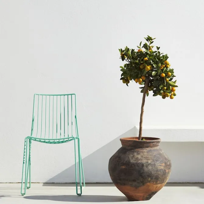 Tio Chair - Blue Green