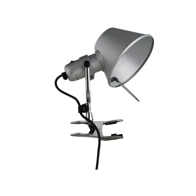 Tolomeo Pinza