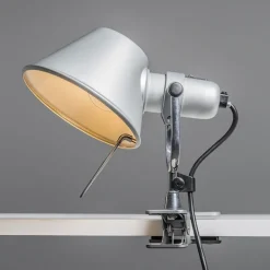 Tolomeo Pinza