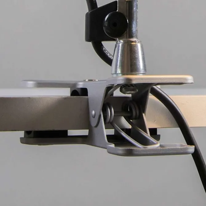 Tolomeo Pinza
